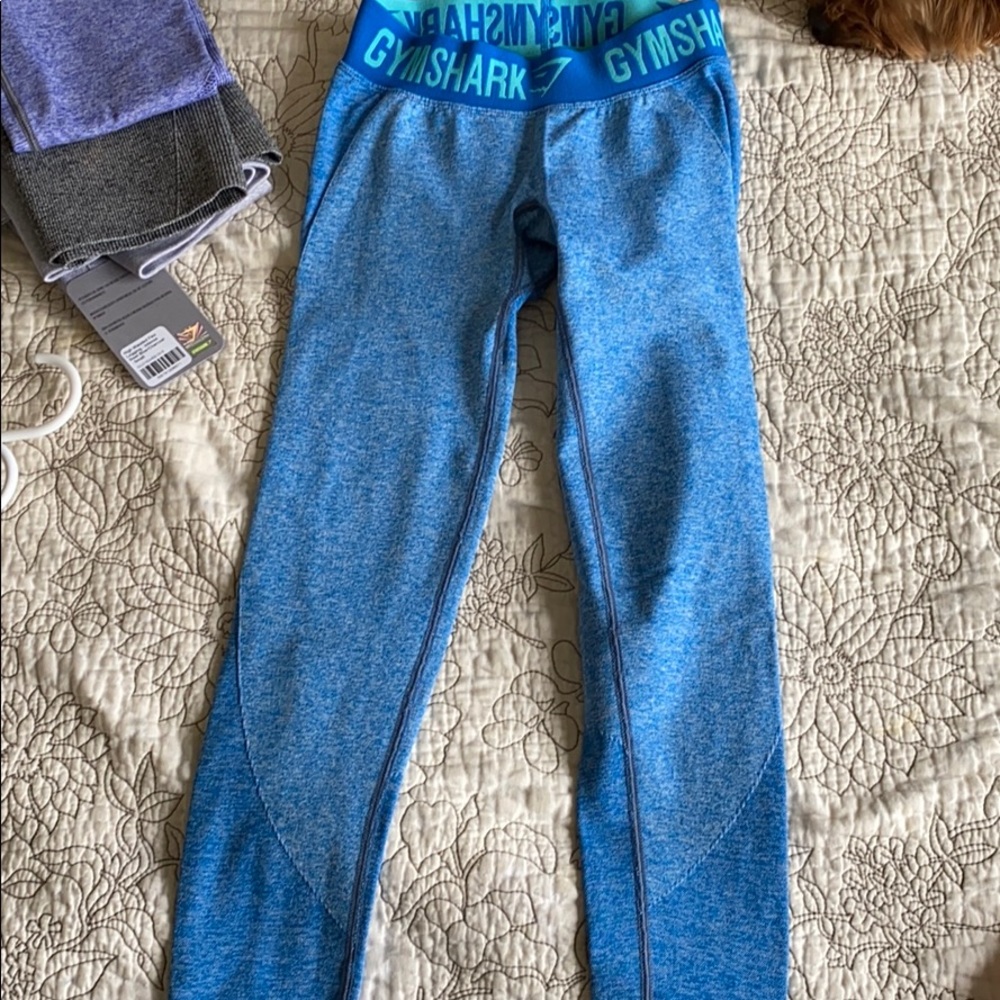 Gym shark leggings